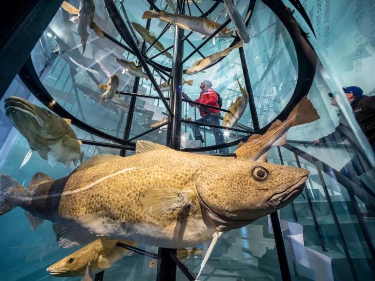 Reykjavík Maritime Museum