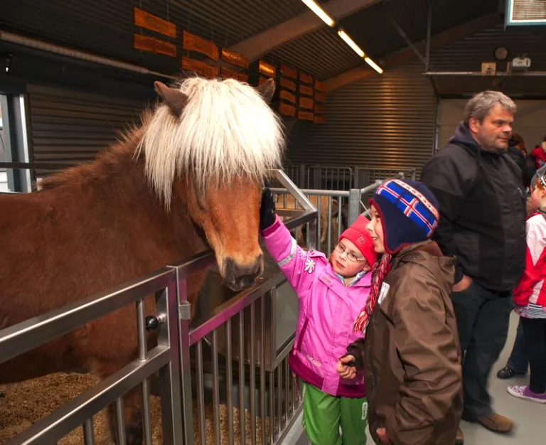 Reykjavik Zoo and Family Park