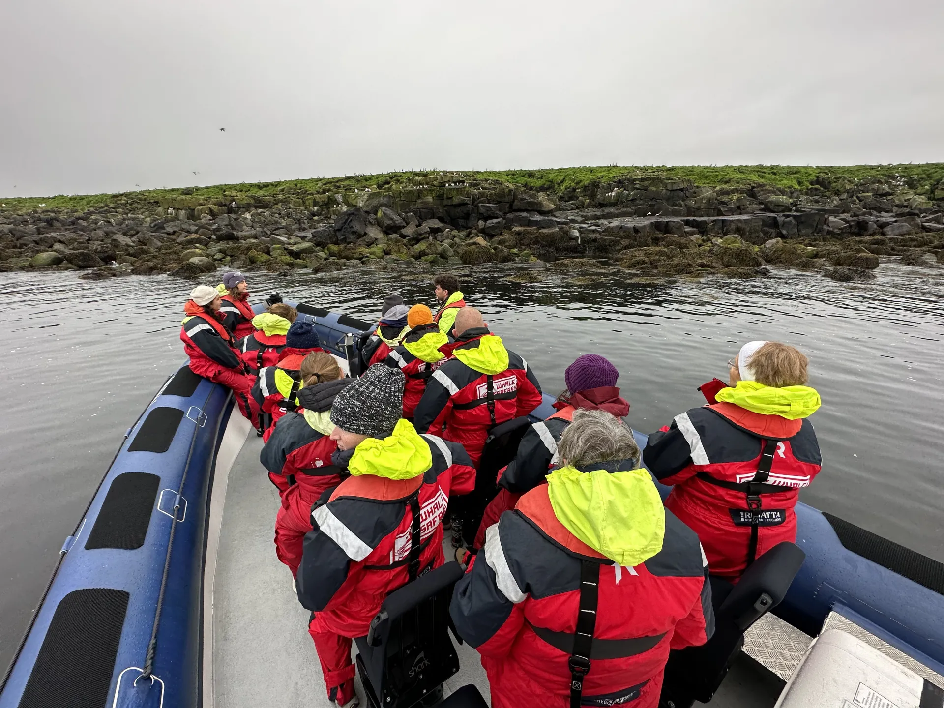 Our RIB close to the Puffin Island