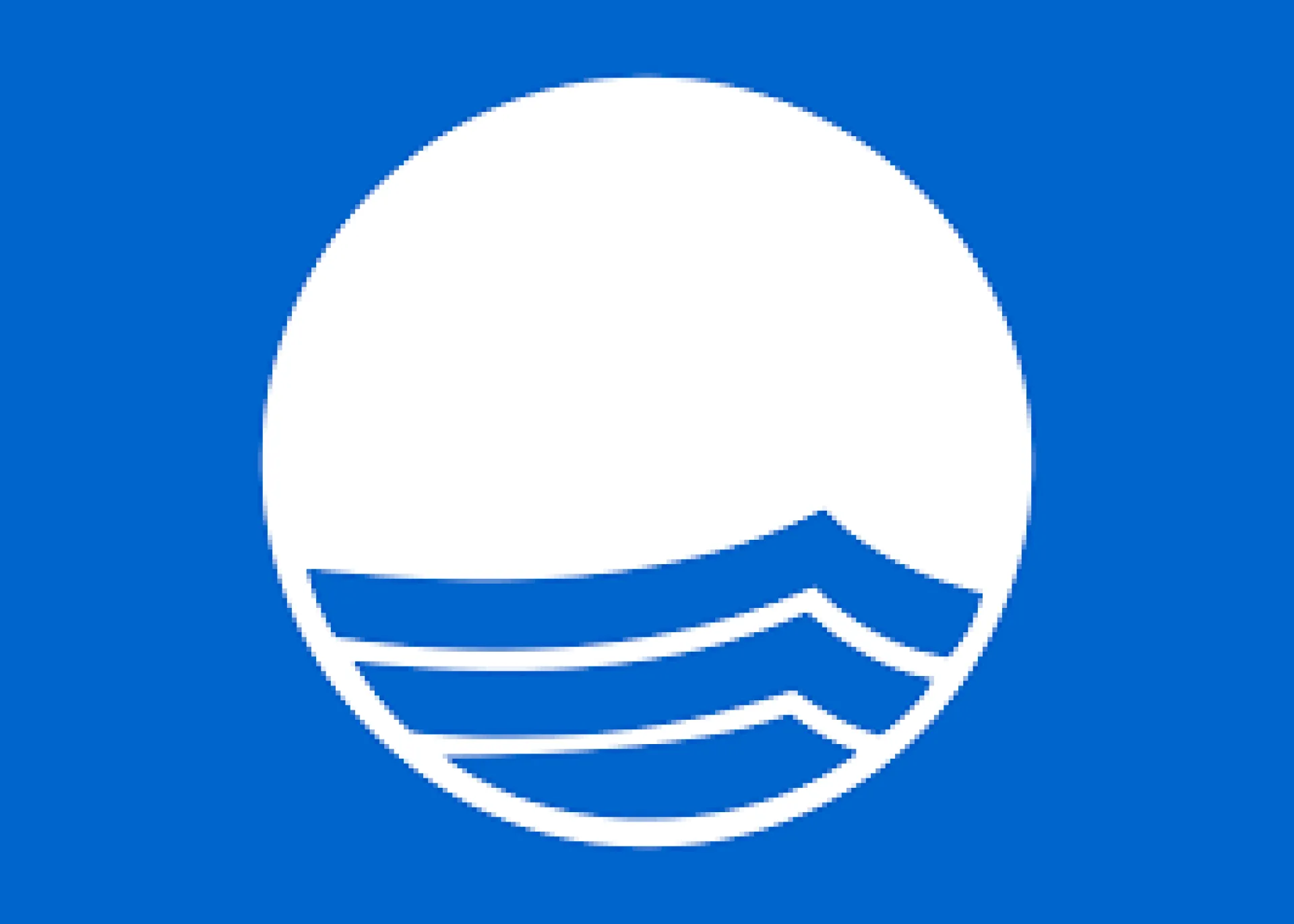 Blue Flag Logo