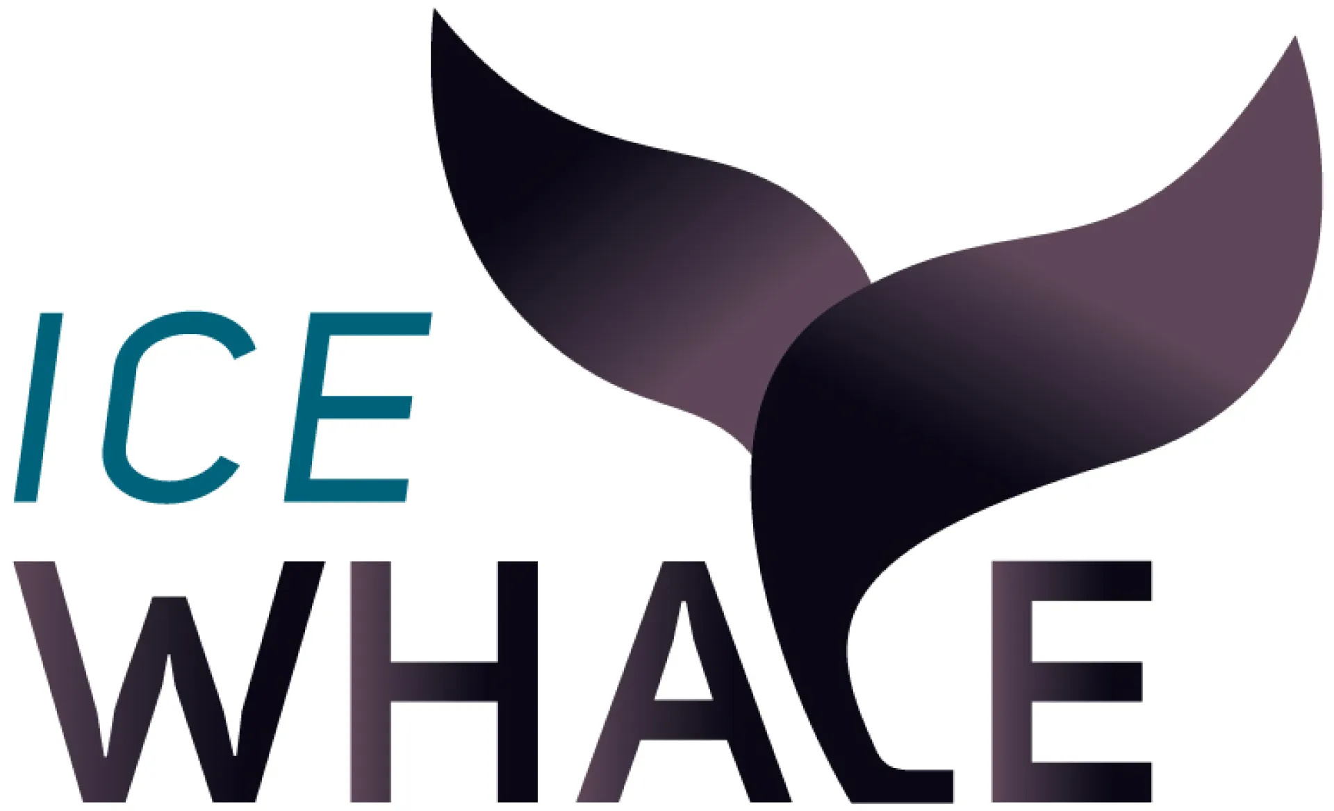 Logo of the organisation IceWhale