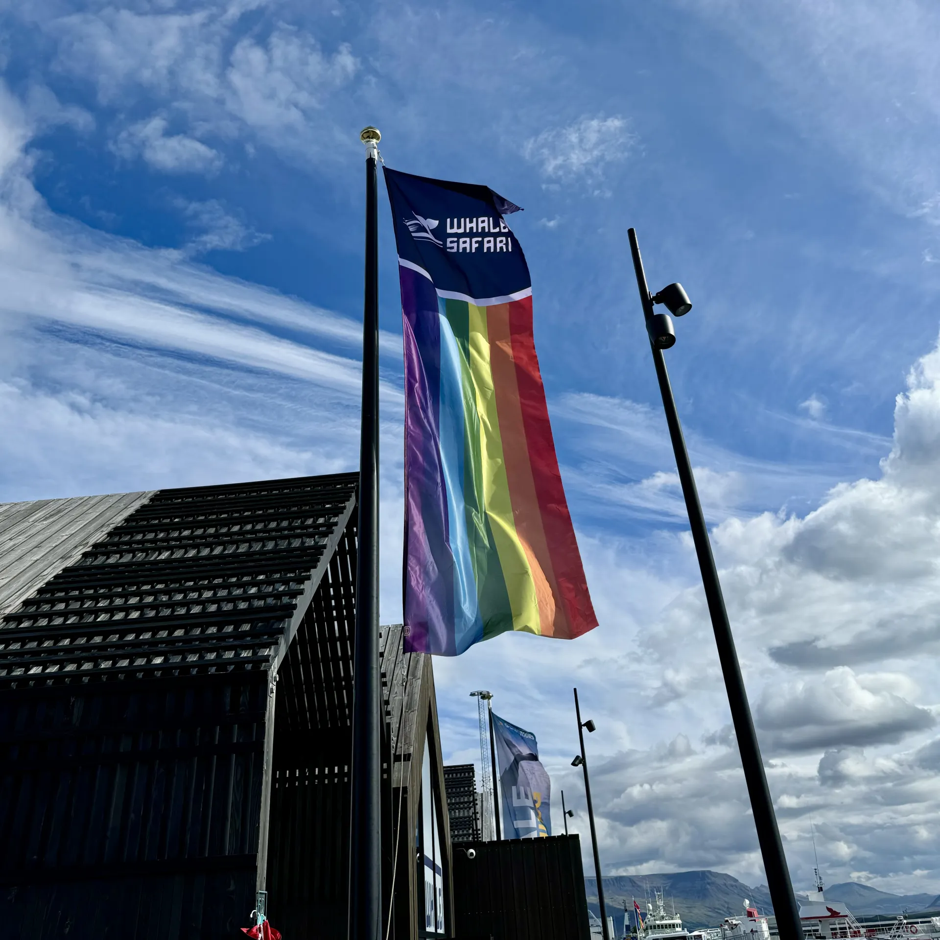 Our Whale Safari Pride Flag flying in front of our ticket office