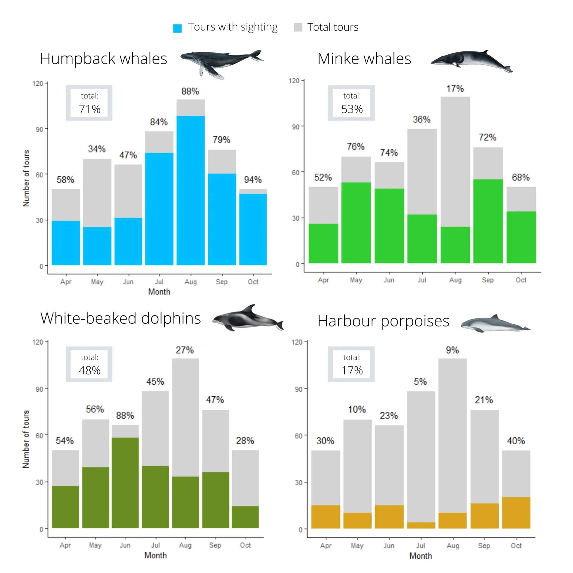 Overall Sighting Successes Graph - 2024